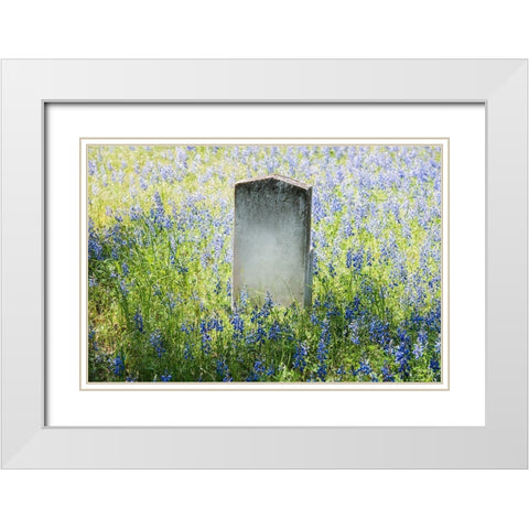Headstone in Field of Flowers White Modern Wood Framed Art Print with Double Matting by Highsmith, Carol