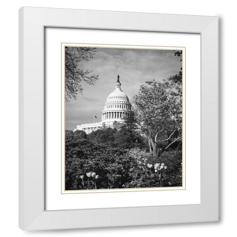 Capitol Hill-Washington D.C. White Modern Wood Framed Art Print with Double Matting by Highsmith, Carol