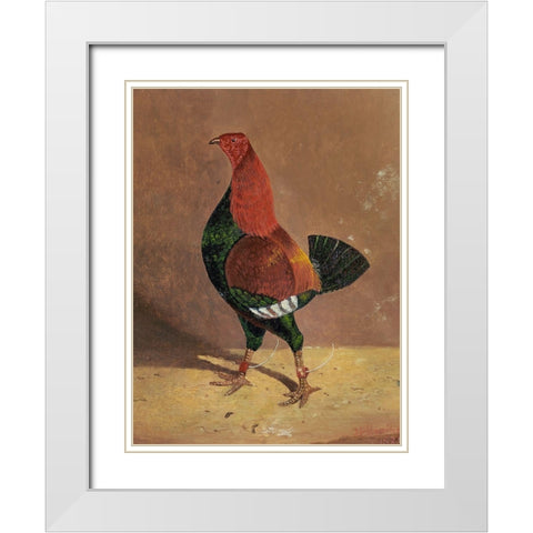 Fighting Cocks-a Dark-Breasted Fighting Cock-Facing Left White Modern Wood Framed Art Print with Double Matting by Herring, John Frederick