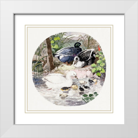 British Ducks White Modern Wood Framed Art Print with Double Matting by Herring, John Frederick