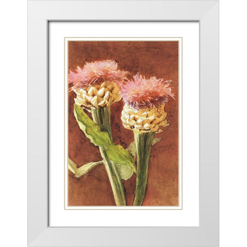 Thistle White Modern Wood Framed Art Print with Double Matting by Sargent, John Singer