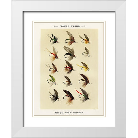Trout Fishing Flies I from Favorite Flies and Their Histories White Modern Wood Framed Art Print with Double Matting by Marbury, Mary Orvis