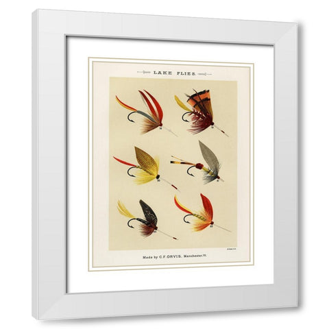 Lake Fishing Flies II from Favorite Flies and Their Histories White Modern Wood Framed Art Print with Double Matting by Marbury, Mary Orvis