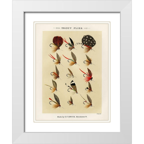 Trout Fishing Flies III from Favorite Flies and Their Histories White Modern Wood Framed Art Print with Double Matting by Marbury, Mary Orvis