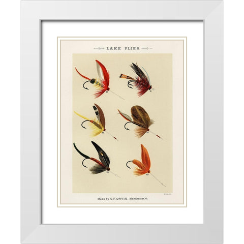 Lake Fishing Flies VI from Favorite Flies and Their Histories White Modern Wood Framed Art Print with Double Matting by Marbury, Mary Orvis