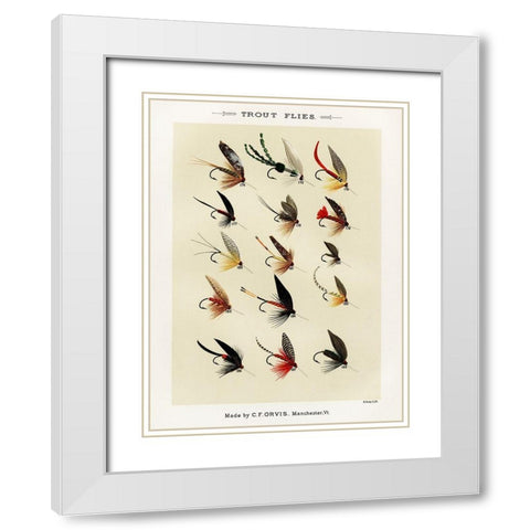 Trout Fishing Flies V from Favorite Flies and Their Histories White Modern Wood Framed Art Print with Double Matting by Marbury, Mary Orvis