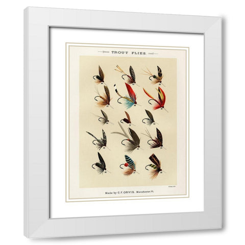Trout Fishing Flies VI from Favorite Flies and Their Histories White Modern Wood Framed Art Print with Double Matting by Marbury, Mary Orvis