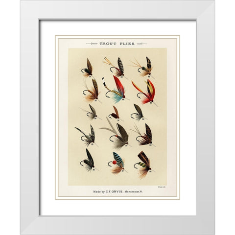 Trout Fishing Flies VI from Favorite Flies and Their Histories White Modern Wood Framed Art Print with Double Matting by Marbury, Mary Orvis