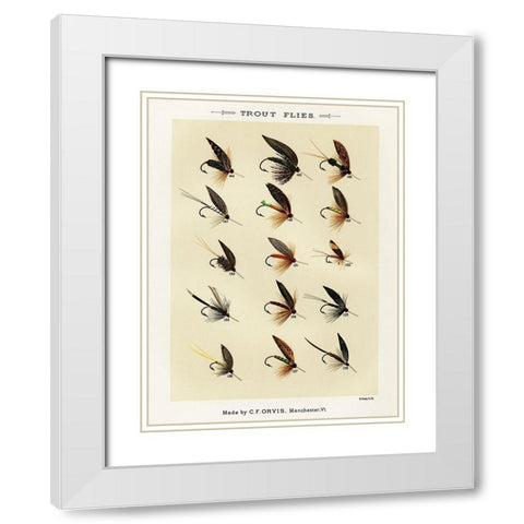Trout Fishing Flies IX from Favorite Flies and Their Histories White Modern Wood Framed Art Print with Double Matting by Marbury, Mary Orvis