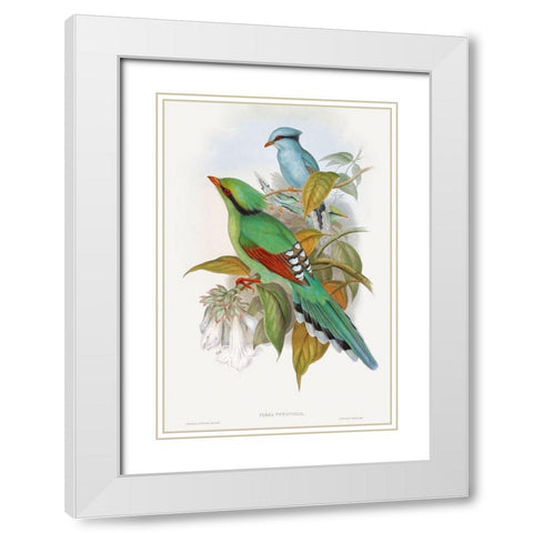 Cissa Venatoria White Modern Wood Framed Art Print with Double Matting by Gould, John