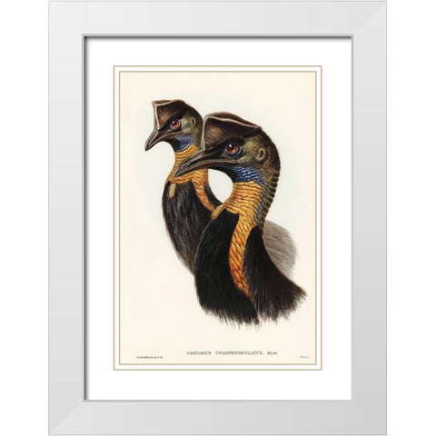 One-carunculated Cassowary-Casuarius uniappendiculatus White Modern Wood Framed Art Print with Double Matting by Gould, John