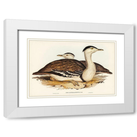 Australian Bustard-Otis Australasianus White Modern Wood Framed Art Print with Double Matting by Gould, John