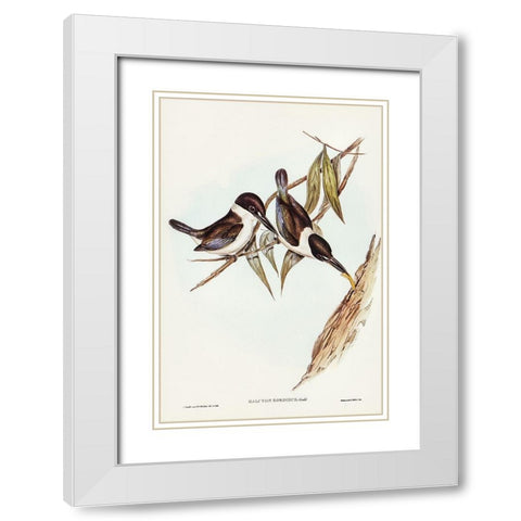 Halcyon sordid-Sordid Halcyon White Modern Wood Framed Art Print with Double Matting by Gould, John