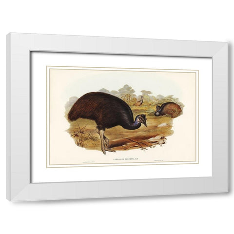 Bennetts Cassowary-Casuarius Bennetti White Modern Wood Framed Art Print with Double Matting by Gould, John
