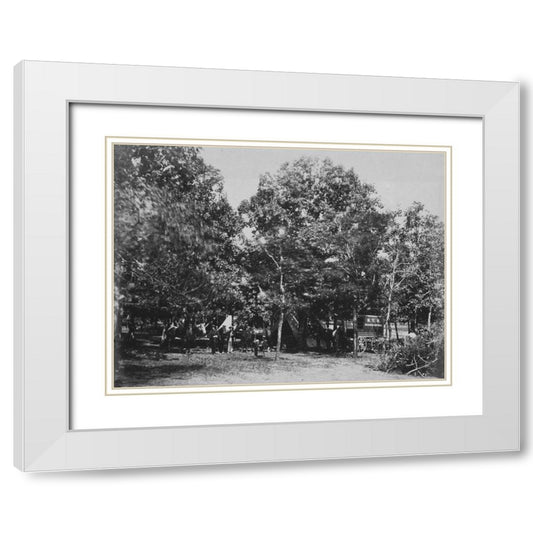 Perspective Image