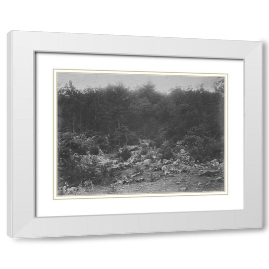 Perspective Image