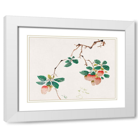 Page from Shi Zhu Zhai Red Fruit White Modern Wood Framed Art Print with Double Matting by Zhengyan, Hu