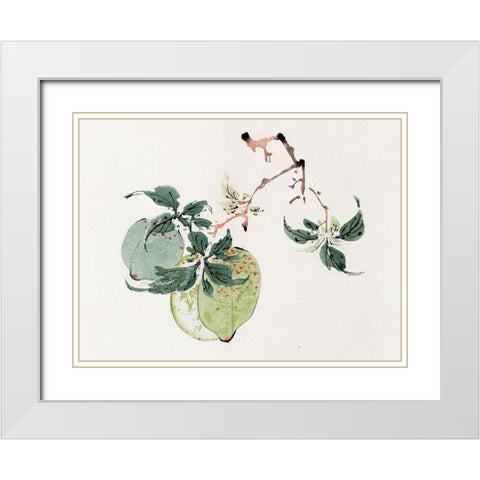Page from Shi Zhu Zhai Green Fruit White Modern Wood Framed Art Print with Double Matting by Zhengyan, Hu