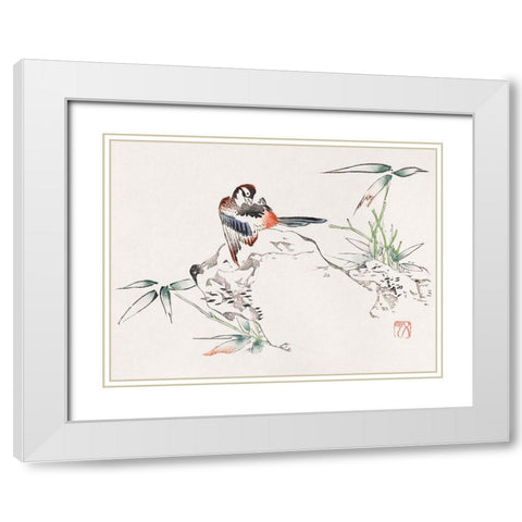 Page from Shi Zhu Zhai Bird on Rock White Modern Wood Framed Art Print with Double Matting by Zhengyan, Hu