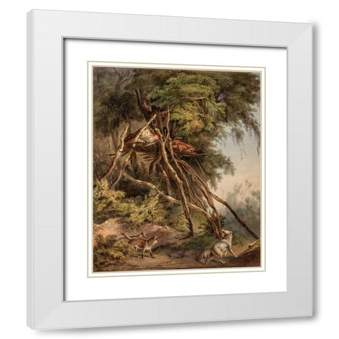 Tombs of Assiniboin indians on trees White Modern Wood Framed Art Print with Double Matting by Bodmer, Karl