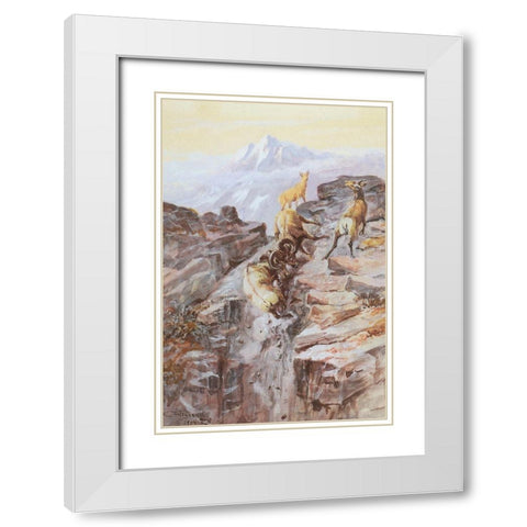 Big Horn Sheep White Modern Wood Framed Art Print with Double Matting by Russell, Charles Marion