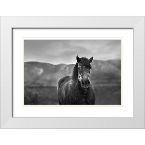 Gray Day White Modern Wood Framed Art Print with Double Matting by The Yellowstone Collection