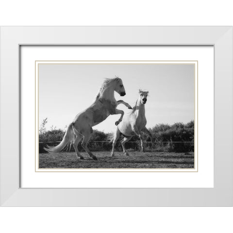 Horse Dance White Modern Wood Framed Art Print with Double Matting by The Yellowstone Collection