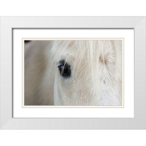 Horse Eye White Modern Wood Framed Art Print with Double Matting by The Yellowstone Collection
