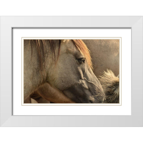 Horse Grain White Modern Wood Framed Art Print with Double Matting by The Yellowstone Collection
