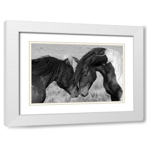 Horse Kiss White Modern Wood Framed Art Print with Double Matting by The Yellowstone Collection