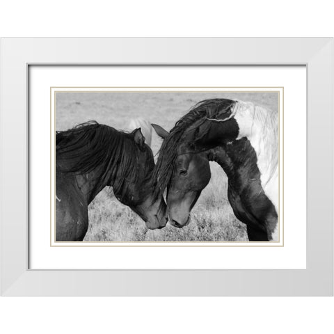 Horse Kiss White Modern Wood Framed Art Print with Double Matting by The Yellowstone Collection