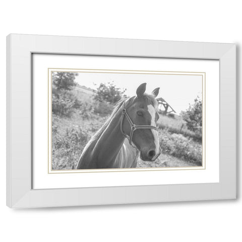 Howdy White Modern Wood Framed Art Print with Double Matting by The Yellowstone Collection