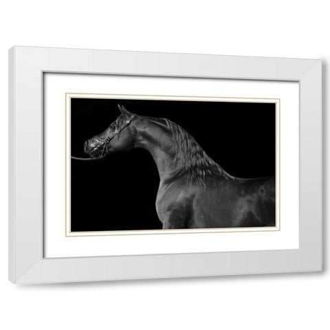Majestic White Modern Wood Framed Art Print with Double Matting by The Yellowstone Collection