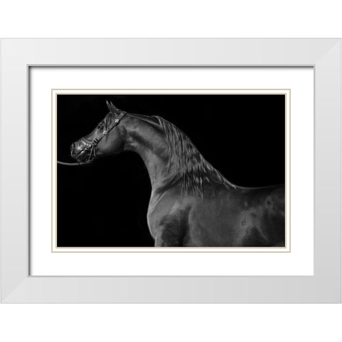 Majestic White Modern Wood Framed Art Print with Double Matting by The Yellowstone Collection