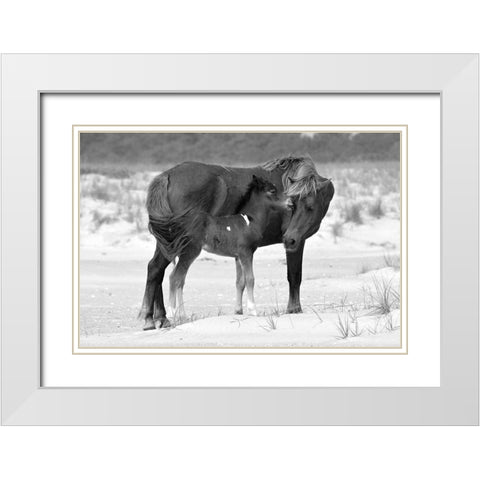 Mother and Foal White Modern Wood Framed Art Print with Double Matting by The Yellowstone Collection