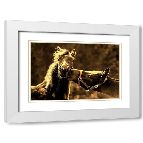 Near the Kissing Gate White Modern Wood Framed Art Print with Double Matting by The Yellowstone Collection