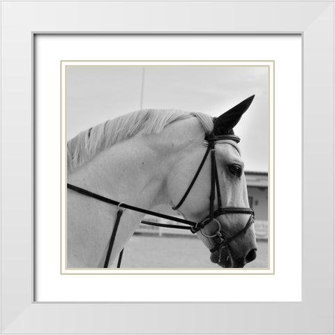 Nobility White Modern Wood Framed Art Print with Double Matting by The Yellowstone Collection