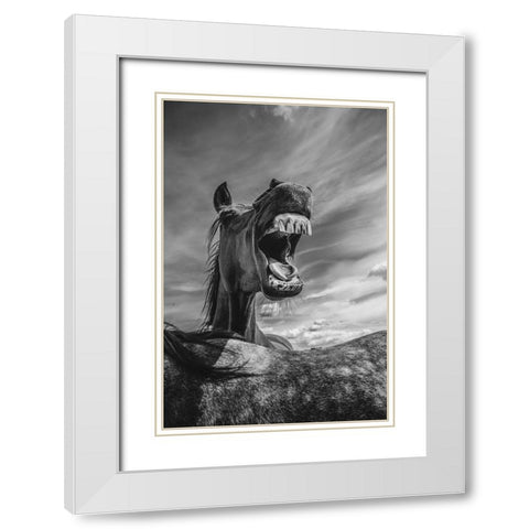 Rebel Yell White Modern Wood Framed Art Print with Double Matting by The Yellowstone Collection