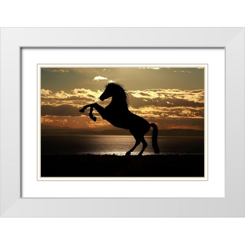Shadow Dancer White Modern Wood Framed Art Print with Double Matting by The Yellowstone Collection