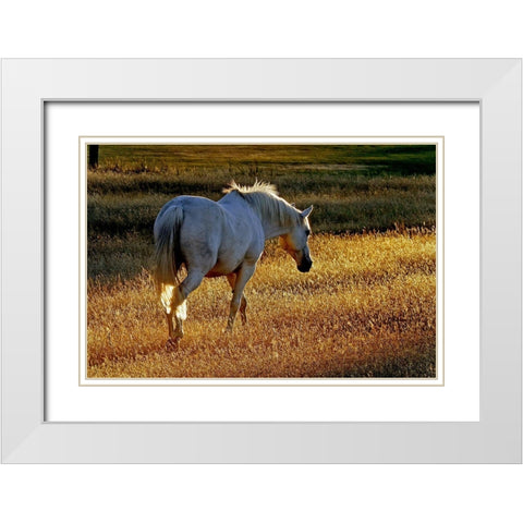 Summer Meadow II White Modern Wood Framed Art Print with Double Matting by The Yellowstone Collection