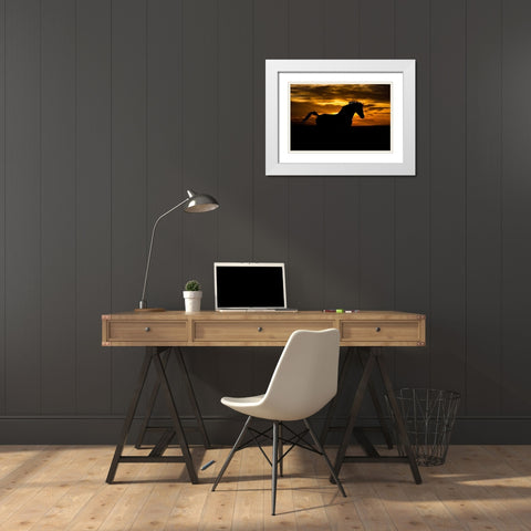 Sunset Shadow White Modern Wood Framed Art Print with Double Matting by The Yellowstone Collection