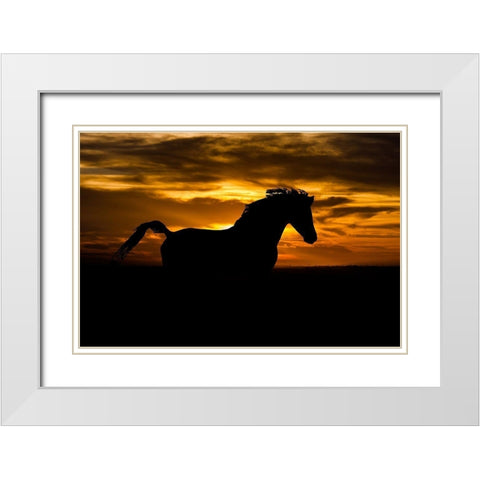Sunset Shadow White Modern Wood Framed Art Print with Double Matting by The Yellowstone Collection