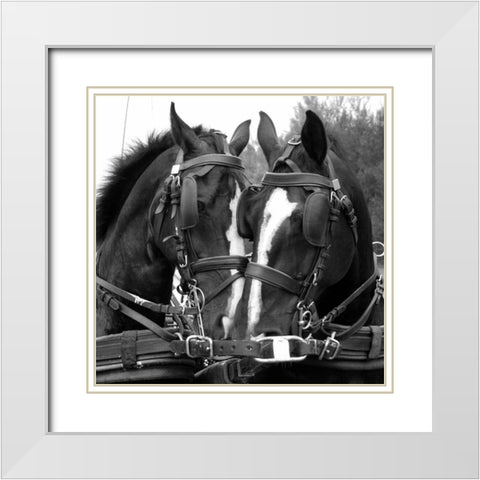 Tandem White Modern Wood Framed Art Print with Double Matting by The Yellowstone Collection