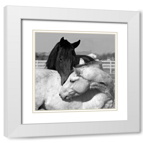 The Long Kiss White Modern Wood Framed Art Print with Double Matting by The Yellowstone Collection