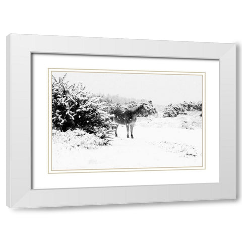 Winter Chestnut White Modern Wood Framed Art Print with Double Matting by The Yellowstone Collection