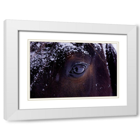 Winter Eye White Modern Wood Framed Art Print with Double Matting by The Yellowstone Collection