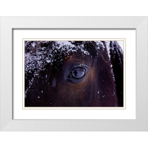 Winter Eye White Modern Wood Framed Art Print with Double Matting by The Yellowstone Collection