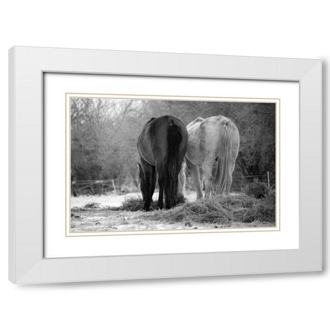 Winter Feed White Modern Wood Framed Art Print with Double Matting by The Yellowstone Collection