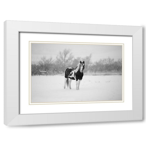 Winter Piebald White Modern Wood Framed Art Print with Double Matting by The Yellowstone Collection