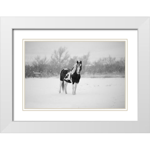 Winter Piebald White Modern Wood Framed Art Print with Double Matting by The Yellowstone Collection